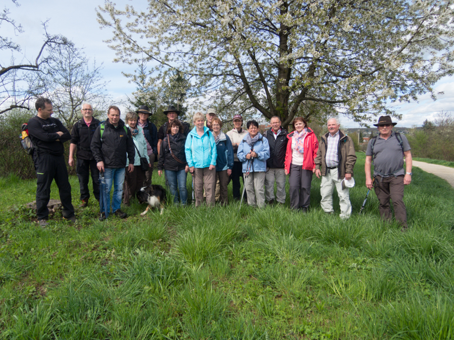 20160415-AGS-Blütenwanderung2016-[DSCN2226]-Nr.0004